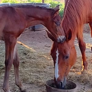 💞Like it, make an offer💞